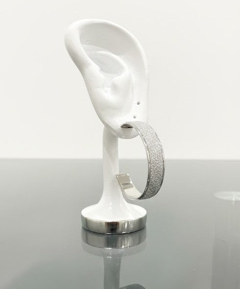 Sparkling silver earrings